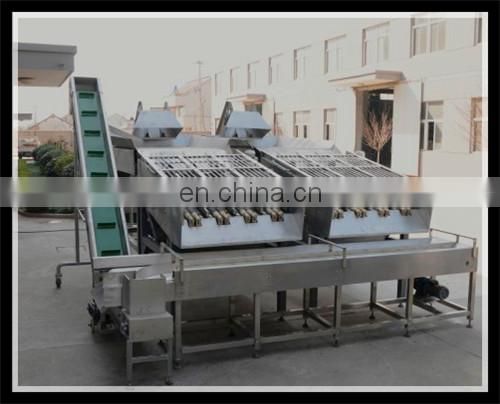 standard Canned baby corn process line /produce machines/plants