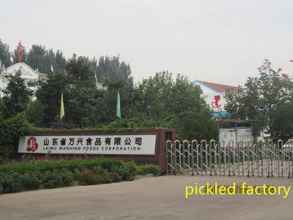 Qingdao Manhang International Trade Co.,Ltd company overview - view 3