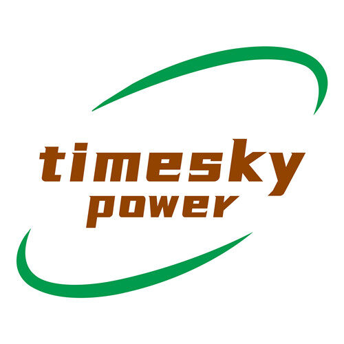 Shenzhen Timesky Power Co., Ltd