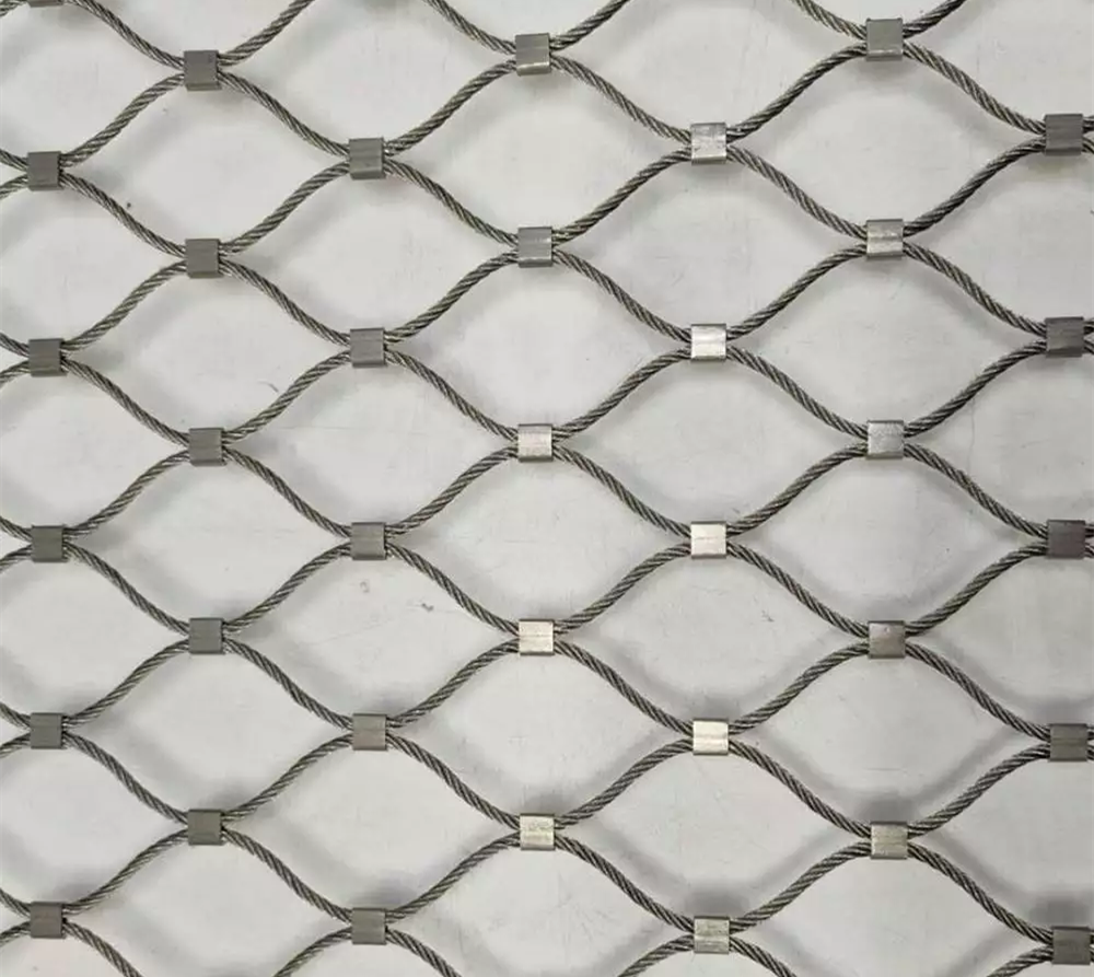 5_264_2042358_1000_1000