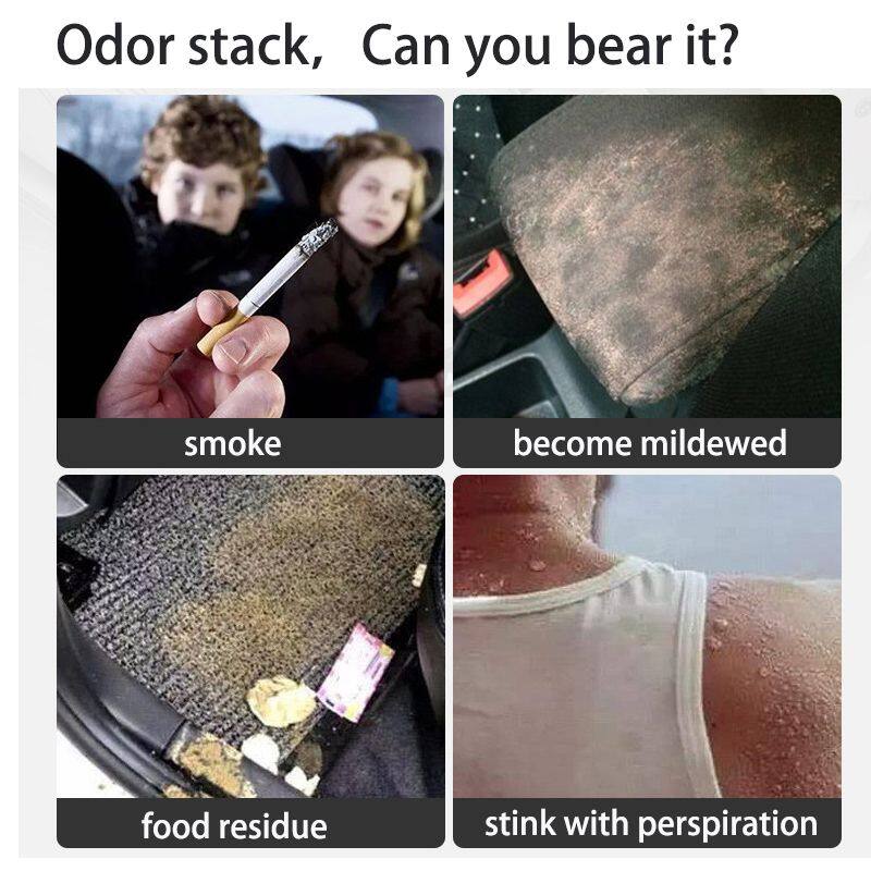 車內(nèi)除異味 (2)