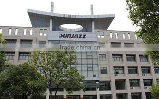 Yongkang Sunyoung Electric Co., Ltd. company overview - view 3