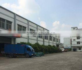 Dongguan Tengyue Display Co., Ltd. company overview - view 1