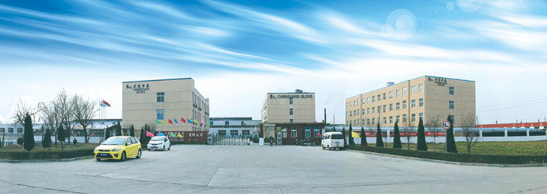 Jiangsu Cureguard Glove Co., Ltd. company overview - view 1