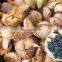 Good price Handmade Coconut Shell Bowl from VIetnam