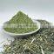 Supply Natural Organic Andrographis Paniculate Extract Powder Andrographis Leaf Extract