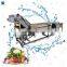 industrial cabbage lettuce cleaner washer vegetable and fruit bubble washing machine with ozone