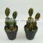 Desk decoration artificial cactus plants with plastic pot