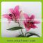 Hot Sale Natural Deep Pink Fresh Cut Robina Lily Flower Made In China