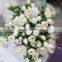 Most popular best selling new product flower fresh carnation