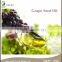 Pure Grape Seed Oil Low Price Refined