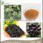 100% Pure Siberian Ginseng Root Extract