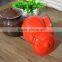 Pantone color enamel cooking pot, flower pot,tea pot