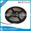  export LED Strip 12V best selling products in dubai