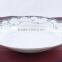 Hot sale ceramic plate/new bone china plate/royal dinnner plate