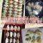 New automatic pelmeni making machine dumpling maker machine