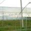 professional high quality greenhouse plastic film on roll