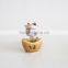 lucky cat car decoration tableware