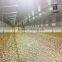 STEEL STRUCTURE CHICKEN HOUSE BUILDING