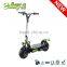 2015 Easy-go newest 500W/1000W 2 wheel electric scooter hot on sale with CE/RoHS certificate