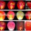 cheap paper lantern chinese sky lantern
