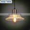 Modern Decorative Pendant Light Glass Pendant Home Lighting