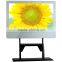 65" Promotional Ads LCD TV Display