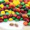 Colourful Bean Choco / 0.44g 10mm Chocolate Bean Bulk Packing