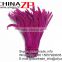 CHINAZP Wholesale Dyed Fushia Bleached Coque Tails Feathers for Sale