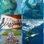 2016 Hot Sale Cutterfish Spearfish Gun Barrels Made by JULI FRP.