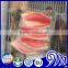 High Quality Fillet of Tilapia Fish