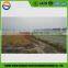 2016 hot sell new type rice and wheat gear and chain drive rotary tiller