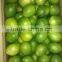 fresh lime