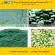 High Protein Spirulina Powder from professional factory