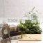 Perfect waterproof rectangular planter of Indoor Gardening