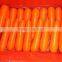 Chinese Fresh Carrot in Bottom Price