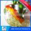 2016 new design clear home-dector acrylic fish tank