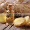 GINGER ESSENTIAL OIL