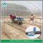 Drip Irrigation Line Or Drip Irrigations Pipe For Irrigation System