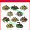 black/ green tea weighing filling machine