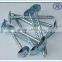 china Galvanized umbrella head roofing nails with smooth/twist shank