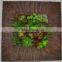SJ0409028 Mini artificial fake wall/hanging plant wall