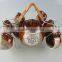 color-glazed coffee set