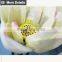 Buy direct from china factory artificial flower wholesale for decoration