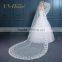 birdcage bridal veil pictures