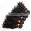 8A Grade Unprocessed Wholesale Virgin Brazilian Hair Wholesale Kinky Curly Brazilian Human Hair Weaves Extension