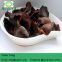 GMP Supply 100% Natural black Fungus