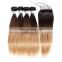 express ali cuticle aligned hair human hair brazilian our company want distributor