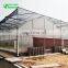 China Low Price Classic Commercial Plastic Film Greenhouse/Garden Greenhouse for sale