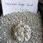 Irregular Broken Granules Blue Gray Bentonite Cat Sand Pet Litter